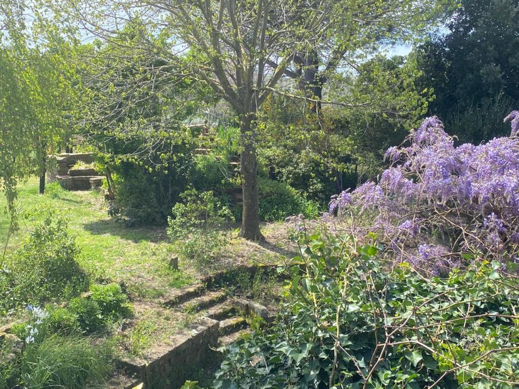Agriturismo Solidor Pitigliano Eksteriør billede