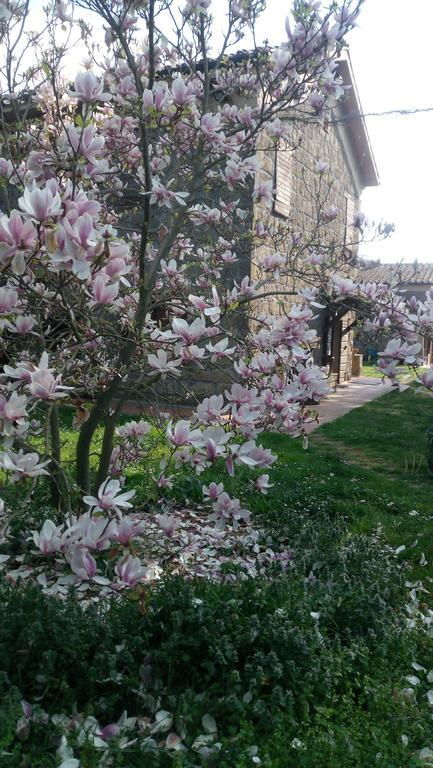 Agriturismo Solidor Pitigliano Eksteriør billede
